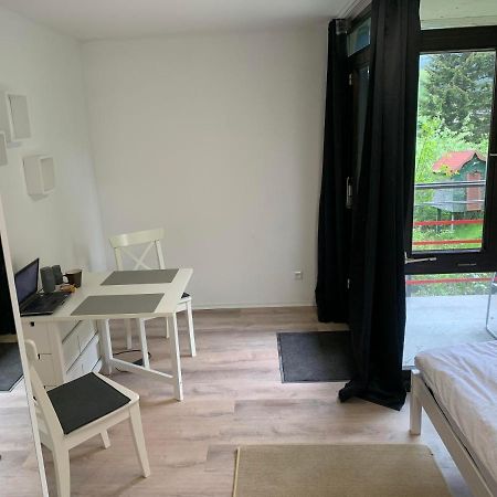 Kleines Einzimmer-Apartment 14 บาดวิลด์บาด ภายนอก รูปภาพ