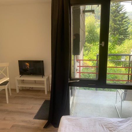 Kleines Einzimmer-Apartment 14 บาดวิลด์บาด ภายนอก รูปภาพ