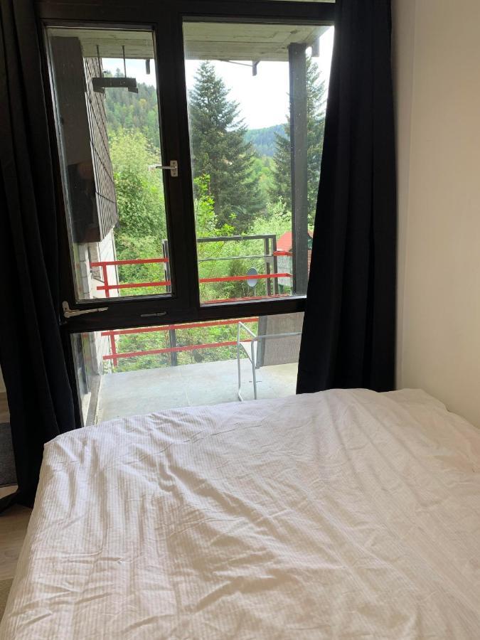 Kleines Einzimmer-Apartment 14 บาดวิลด์บาด ภายนอก รูปภาพ
