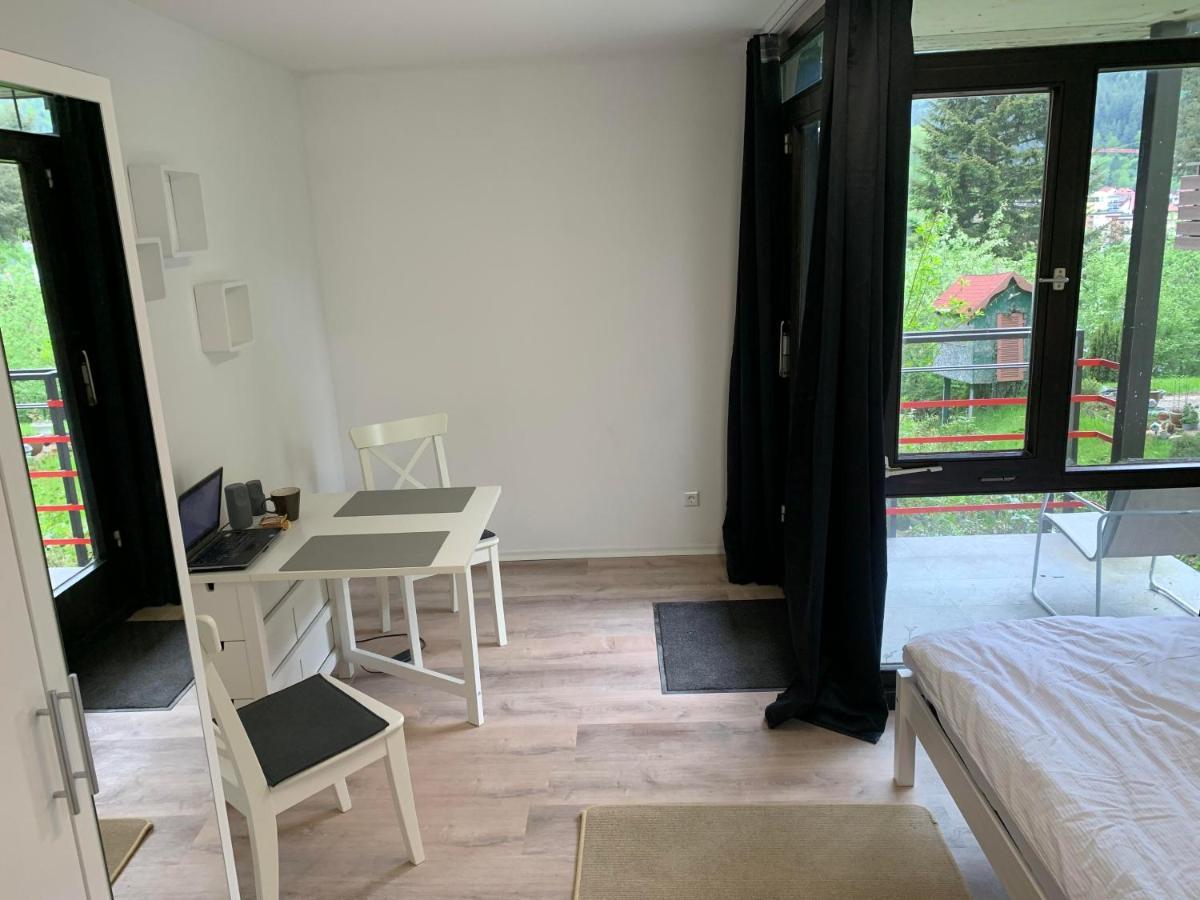 Kleines Einzimmer-Apartment 14 บาดวิลด์บาด ภายนอก รูปภาพ