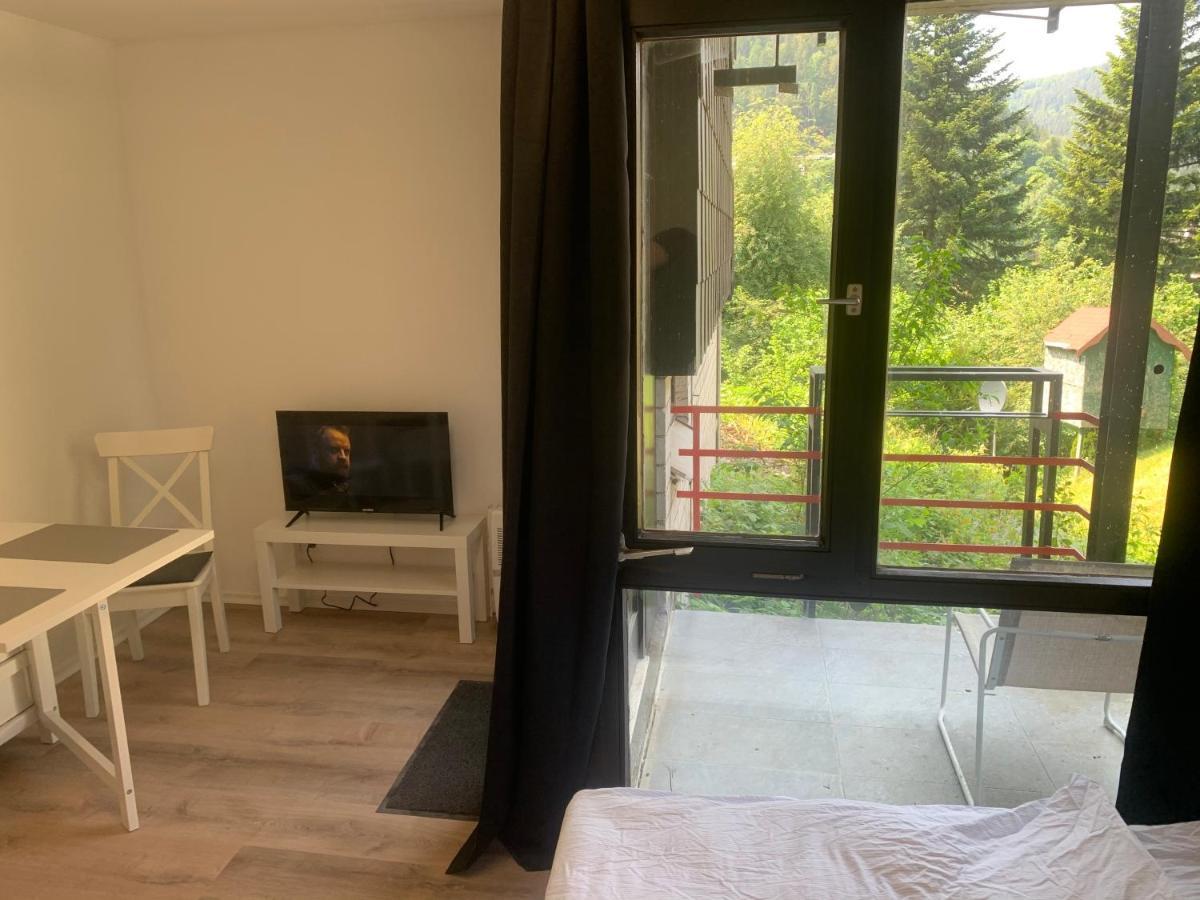Kleines Einzimmer-Apartment 14 บาดวิลด์บาด ภายนอก รูปภาพ